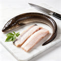 Frozen Eel